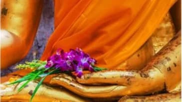 Meditation at Insight Denver