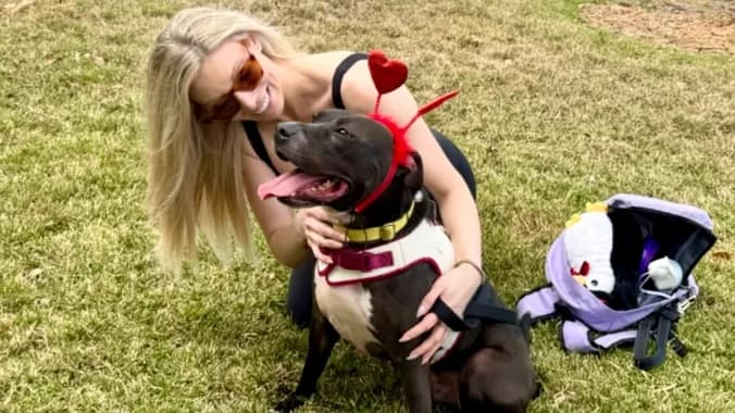 🐶❤️ One Love Foundation-Pawventures Edition: Social Walks for Shelter Dogs