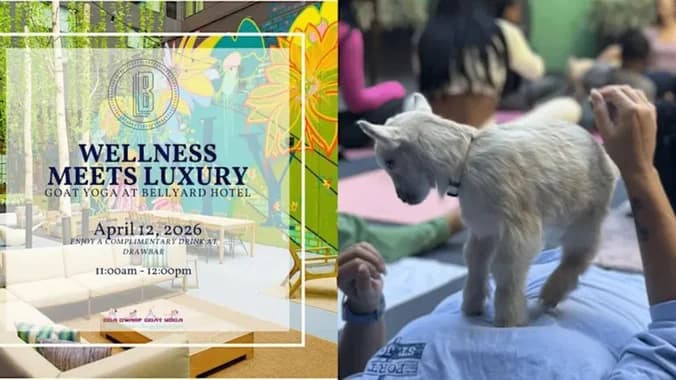 Goat Yoga at Bellyard Hotel