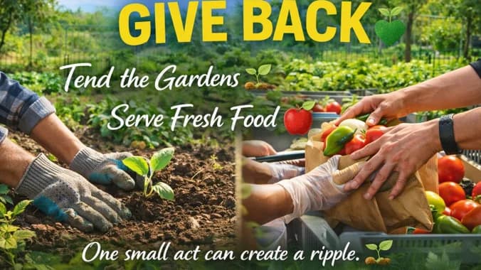 ❤️🌱 One Love Foundation & Green Haven Project: Feeding Communities in Need 🥕