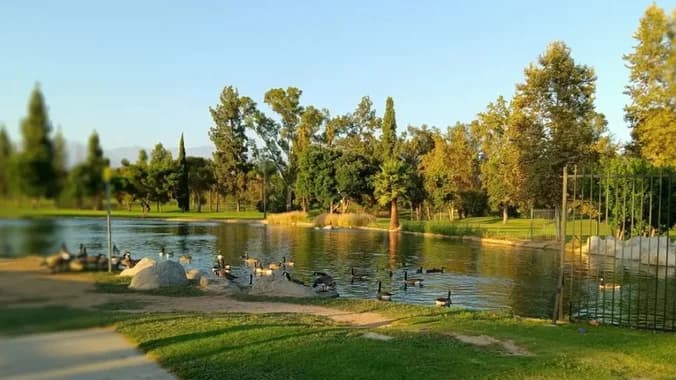 🌿 Friday Evening Park Walk: Unwind & Reset 🌿